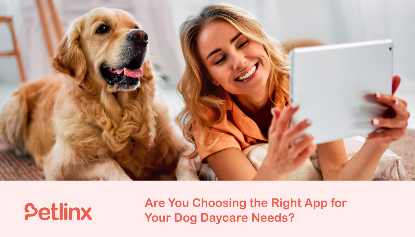Are You Choosing the Right App for Your Dog Daycare Needs - dog daycare software - dog grooming salon software - best dog daycare software - dog groomer software